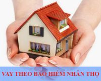 Vay tín chấp theo bảo hiểm nhân thọ